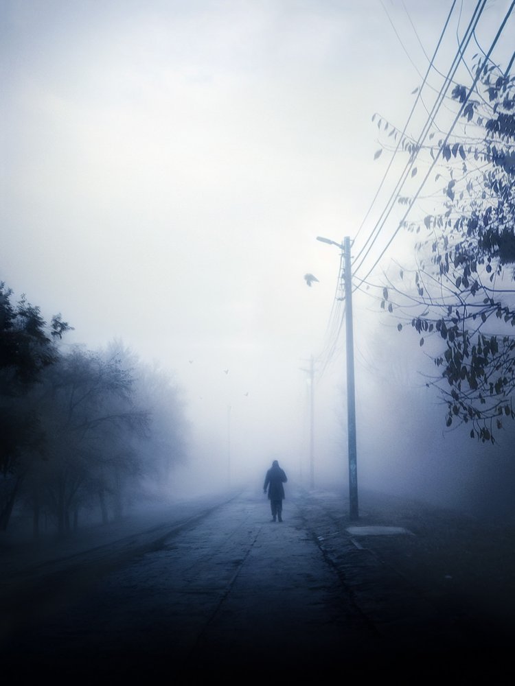 Цветы